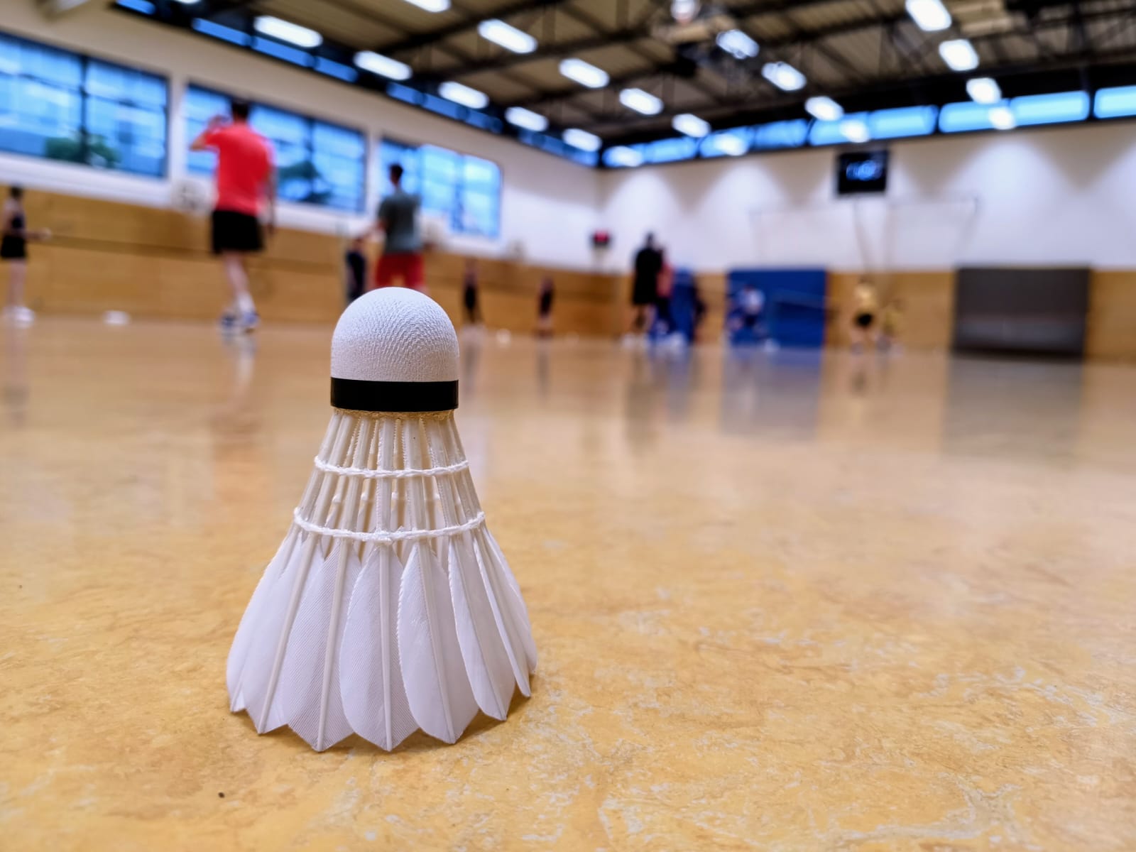 Turnhalle des Ernst-Haeckel-Gymnasiums